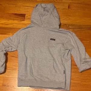 Patagonia Light Gray Hoodie